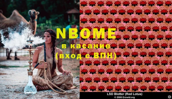 ешки Иннополис