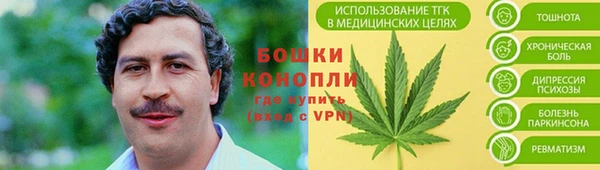 ешки Иннополис