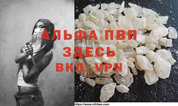 СК Инсар