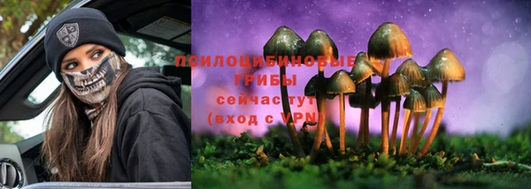 спайс Инта